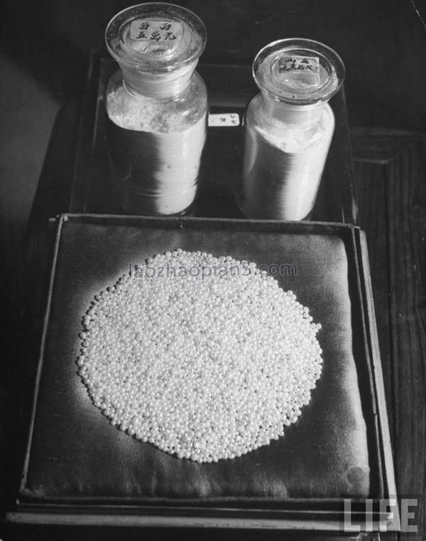 图片[14]-1946 Old photos of Shanghai, dealers in traditional Chinese medicine shops in the Republic of China-China Archive