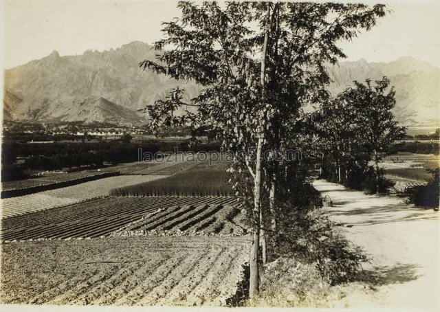 图片[4]-Old photos of Qingdao in 1943 Beautiful scenery of Laoshan Mountain-China Archive