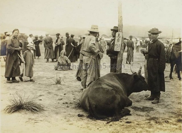 图片[7]-In 1943, the old photo of Chifeng, Inner Mongolia was taken in Daban Town, Right Banner, Bahrain at that time-China Archive