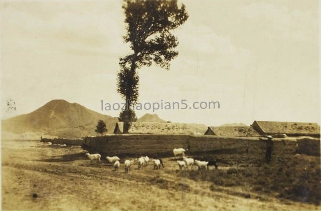 图片[9]-In 1943, the old photo of Chifeng, Inner Mongolia was taken in Daban Town, Right Banner, Bahrain at that time-China Archive