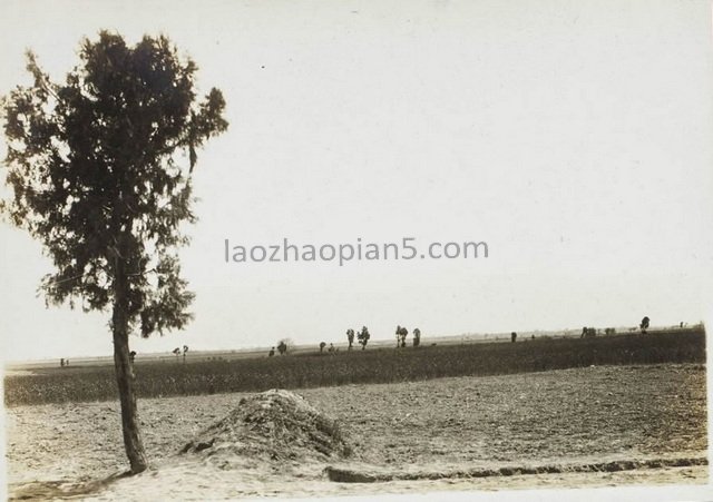 图片[5]-1942 Old photos of Yuncheng Yanchi Temple and Jiexian Guandi Temple-China Archive