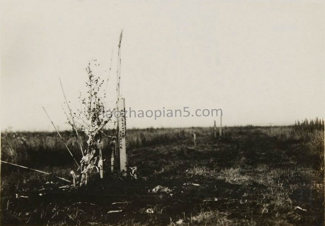 图片[10]-Old photos of Harbin in 1941 Street view and Tianli Village 80 years ago-China Archive