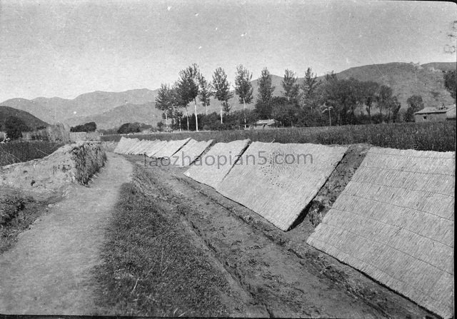 图片[11]-The old photos of Qinhuangdao from 1917 to 1919, the style and features of Beidaihe area (2)-China Archive