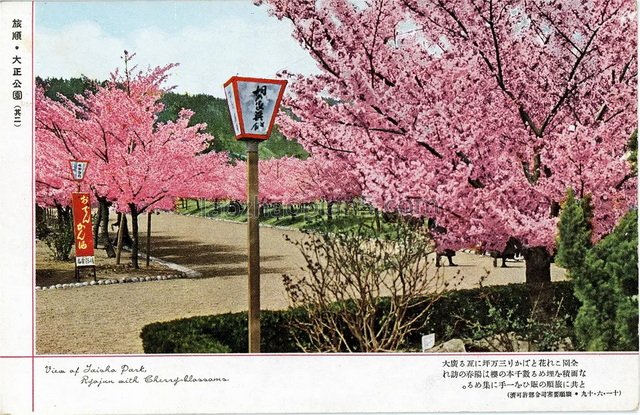 图片[3]-Beautiful photos of Lushun on old postcards issued by Japan during the Anti Japanese War-China Archive