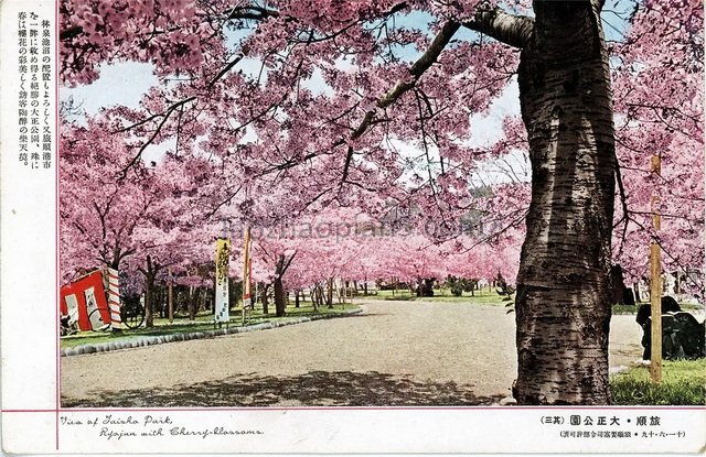 图片[4]-Beautiful photos of Lushun on old postcards issued by Japan during the Anti Japanese War-China Archive