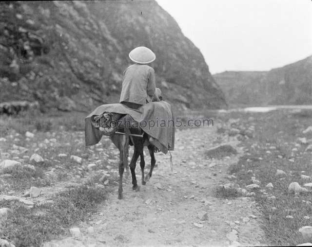 图片[6]-In 1917, Gan Bo took the old photo of carrying cattle on Qinhuangdao (1)-China Archive