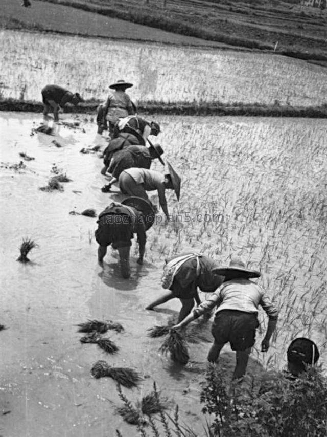 图片[6]-1930’s old photos of Wuzhou, Guangxi. 90 years ago, people’s life in Wuzhou-China Archive