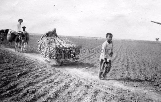 图片[14]-The old photos of Fenyang, Shanxi in 1924 A hundred years ago-China Archive
