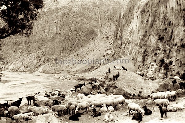图片[9]-The old photos of Fenyang, Shanxi in 1924 A hundred years ago-China Archive