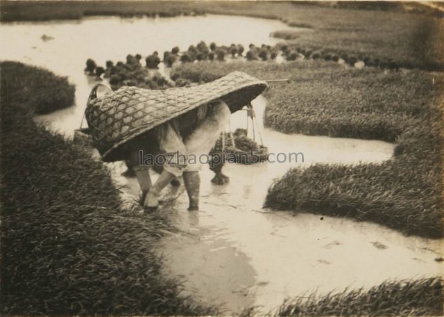 图片[5]-1930 Hengyang Nanyue Old Photo Nanyue 72 Peaks Scenery of the Republic of China-China Archive