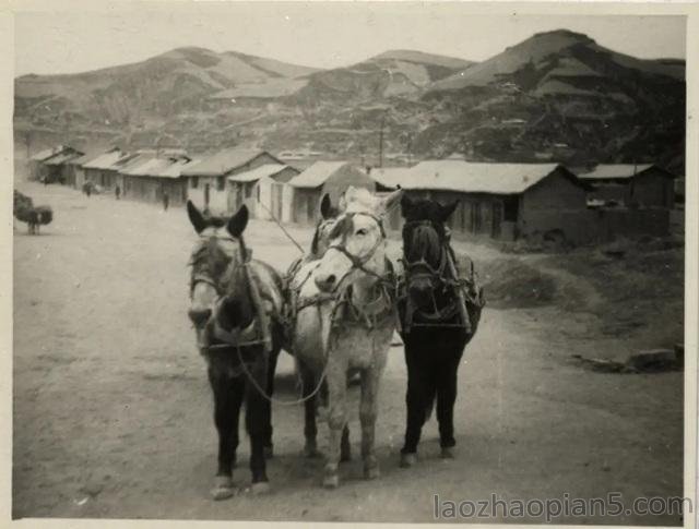 图片[8]-An old photo of Yan’an in 1947 The American Observation Mission visited Yan’an (2)-China Archive