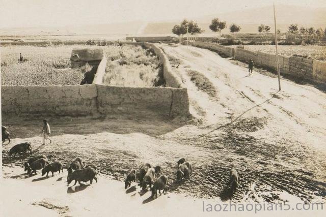 图片[2]-The old photo of Chifeng in Inner Mongolia in 1932, the style and features of Linxi County 90 years ago-China Archive