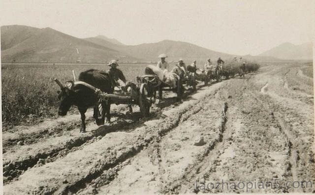 图片[7]-The old photo of Chifeng in Inner Mongolia in 1932, the style and features of Linxi County 90 years ago-China Archive