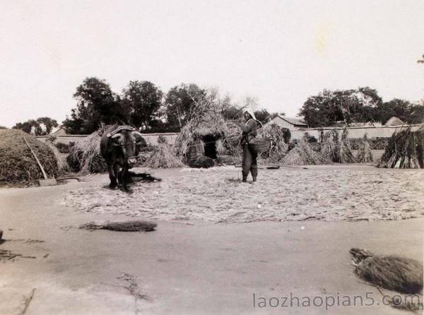 图片[7]-1923 Old Photographs of Baoding, Hebei: The Urban and Rural Scenery of Baoding a Hundred Years Ago (Part 2)-China Archive