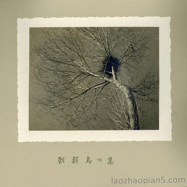 图片[8]-A collection of commemorative photos taken and produced after the Japanese army attacked Jinnan in 1938-China Archive