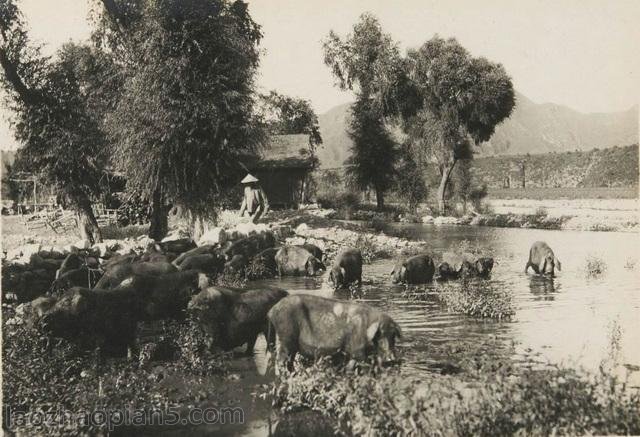 图片[3]-Old photo of Benxi, Liaoning in 1932: Lianshanguan and Taizi River 90 years ago-China Archive