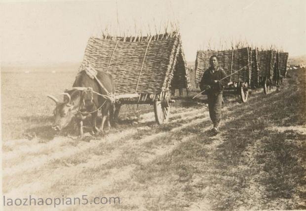 图片[4]-Photos of old people in Xilinguoleduolun, Sunit Banner, Abaga and other places in Inner Mongolia in 1933-China Archive