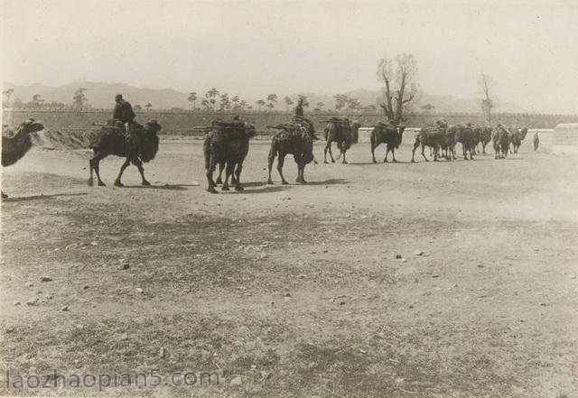 图片[5]-The old photos of Chengde in 1933, the street style and countryside scenery of Chengde at that time-China Archive