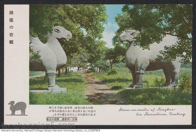 图片[3]-Old photos of evidence of Japanese invasion of China: postcards of “Nanjing Beauty” series-China Archive