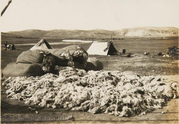 图片[6]-The old photos of Hulun Buir in 1935. The life style of grassland more than 80 years ago-China Archive