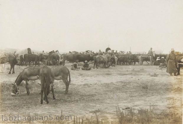 图片[8]-The old photo of Chifeng in 1935 The style of Daban Town in Bahrain’s Right Banner 80 years ago-China Archive