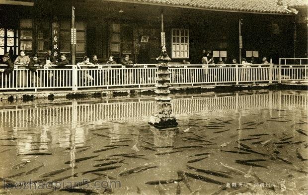 图片[8]-Old Photos of Hangzhou in the Republic of China West Lake Scenery and Lingyin Temple-China Archive