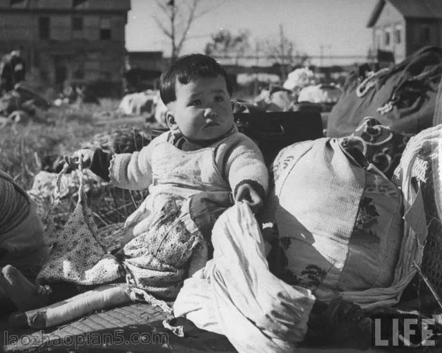 图片[3]-1945 Shanghai old photo Japanese prisoners waiting to be repatriated after the victory of the Anti Japanese War-China Archive