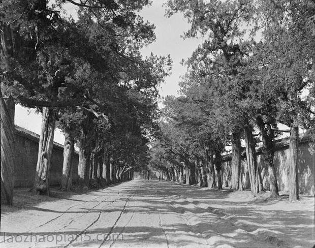 图片[1]-The old photos of Qufu, Shandong Province in China under the camera of Ganbo from 1917 to 1919 (Part 1)-China Archive