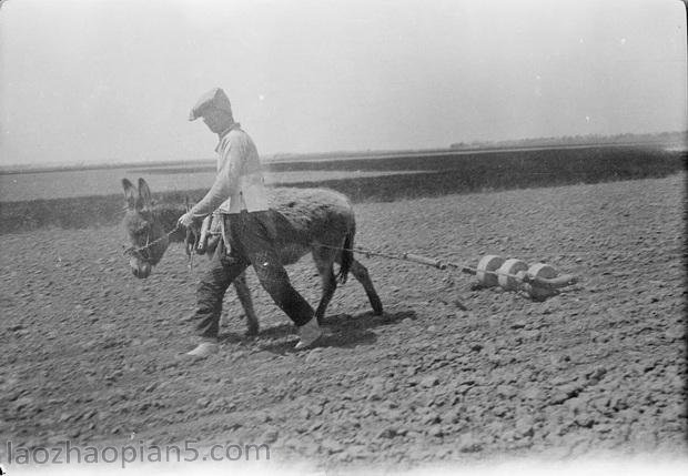 图片[4]-The old photos of Qufu, Shandong Province in China under the camera of Ganbo from 1917 to 1919 (Part 2)-China Archive