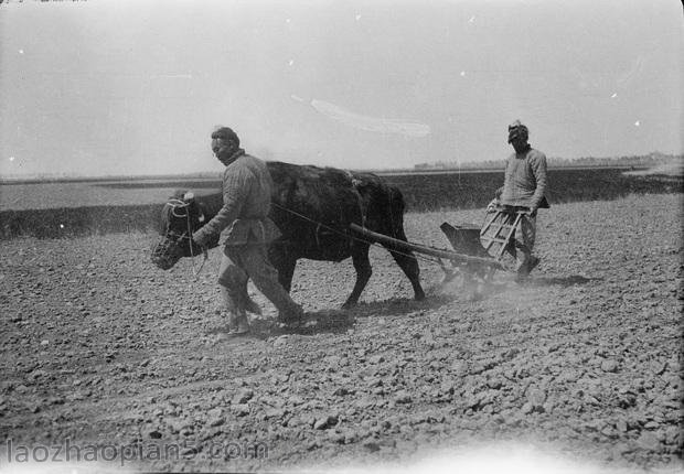 图片[3]-The old photos of Qufu, Shandong Province in China under the camera of Ganbo from 1917 to 1919 (Part 2)-China Archive