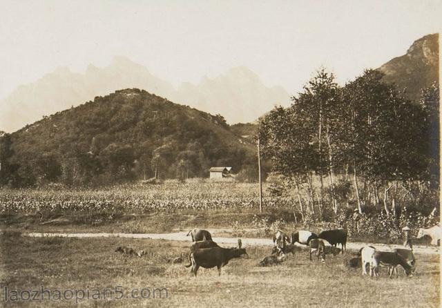 图片[7]-The old photos of Dandong in the 1930s, the historical style and features of Phoenix Mountain and Phoenix City in the past-China Archive