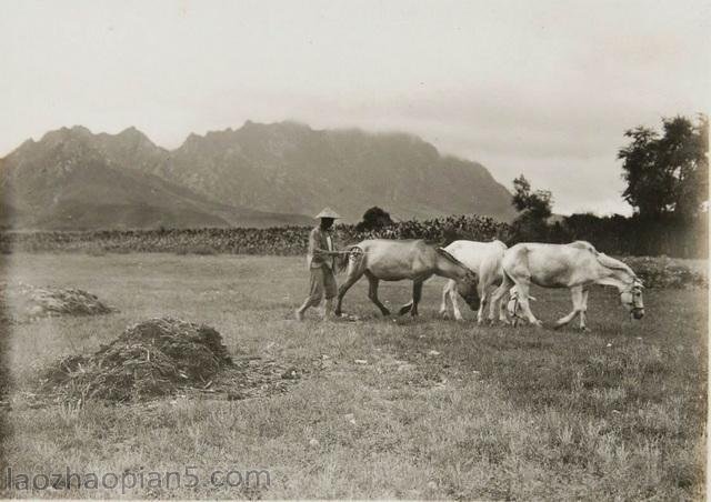图片[9]-The old photos of Dandong in the 1930s, the historical style and features of Phoenix Mountain and Phoenix City in the past-China Archive