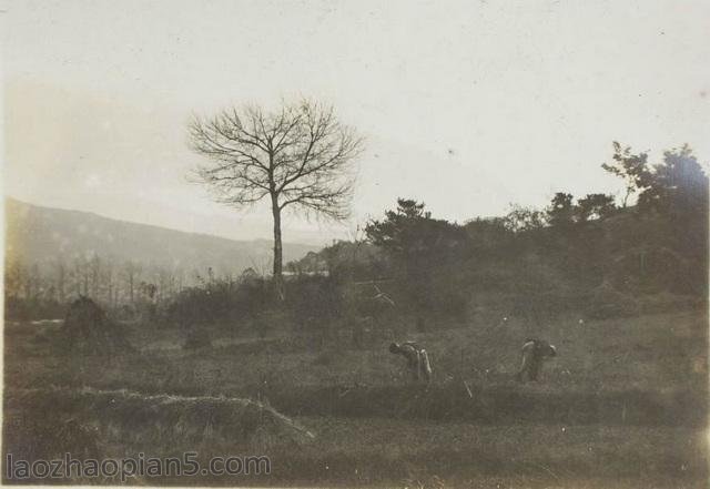 图片[3]-The old photo of Dandong in 1942 The old Wulongbei Tangshan City Phoenix Mountain-China Archive