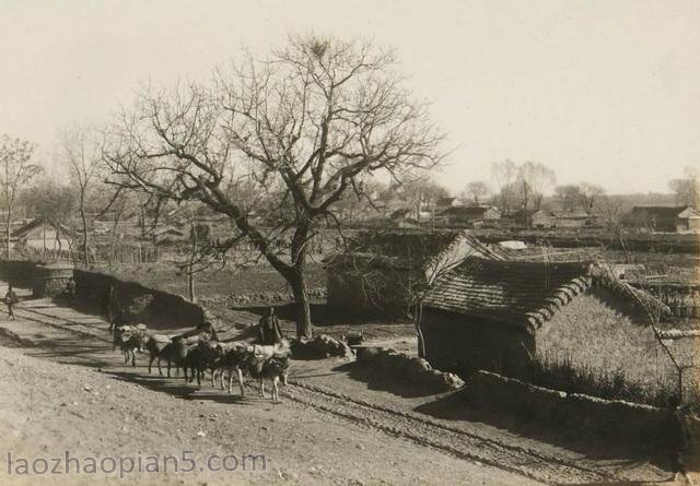 图片[8]-1937 Old photo of Beijing Shunyi Changping Huairou Miyun-China Archive