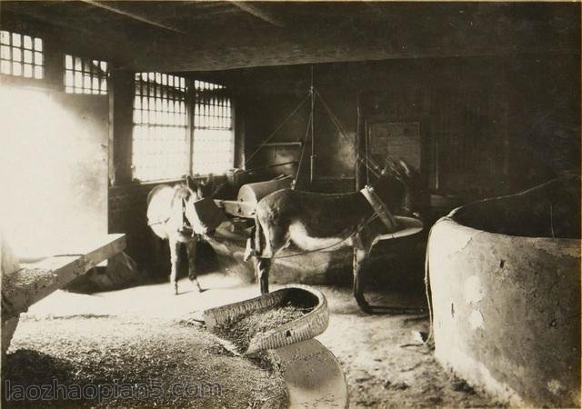 图片[3]-Old photos of Dalian in 1937 The former suburban scenery and people’s life-China Archive