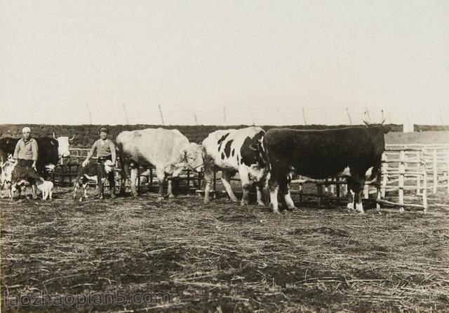 图片[4]-The old photo of Jiamusi in 1937 shows the style and features of Qianzhen Township, a Japanese immigrant village at that time-China Archive