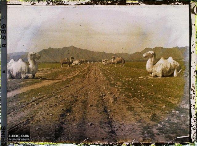 1913年昌平老照片 百年前北京昌平彩色影像（上）