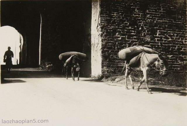 图片[5]-Old photos of Nanjing in 1938 Impression of the ancient city of Nanjing after the war-China Archive