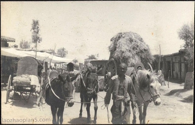 图片[3]-1936 Old photo of Lingwu County, Ningxia, taken by Claude Bijingshi-China Archive