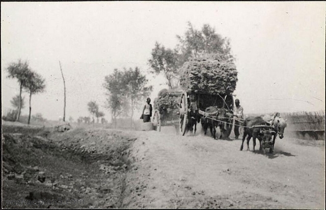 图片[2]-1936 Old photo of Lingwu County, Ningxia, taken by Claude Bijingshi-China Archive