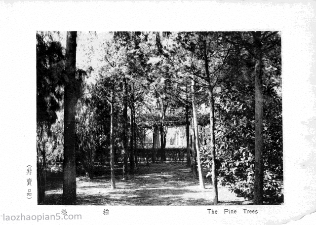 图片[9]-An overview of the Huangjia Garden in 1935 old photos of Shanghai (Part 1)-China Archive