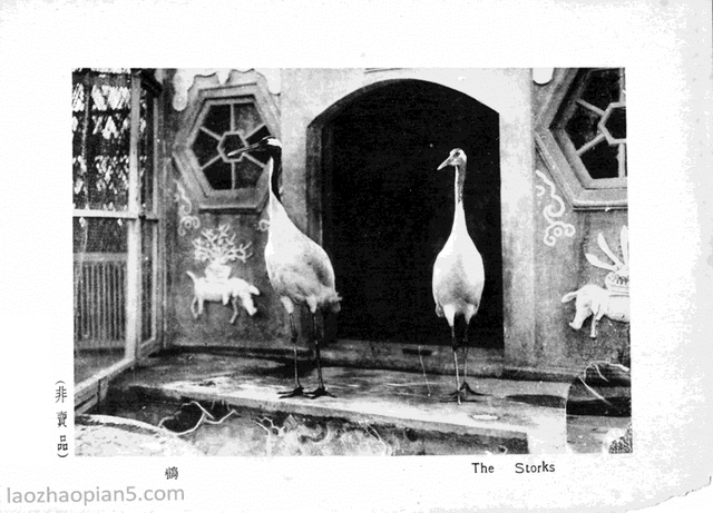 图片[5]-An Overview of the Huang Family Garden in 1935 Old Photos of Shanghai (Part 2)-China Archive