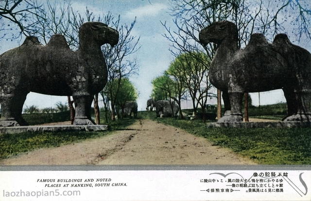 图片[4]-Colorful Postcards Issued by Japan during the War of Resistance Against Japan: Nanjing Dianshu-China Archive