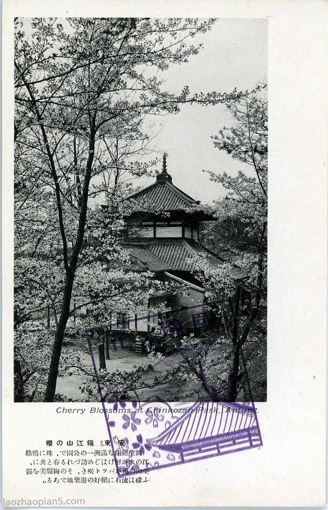 图片[8]-Dandong postcard issued by Japan during the Anti Japanese War: the impression of Anton at the border-China Archive