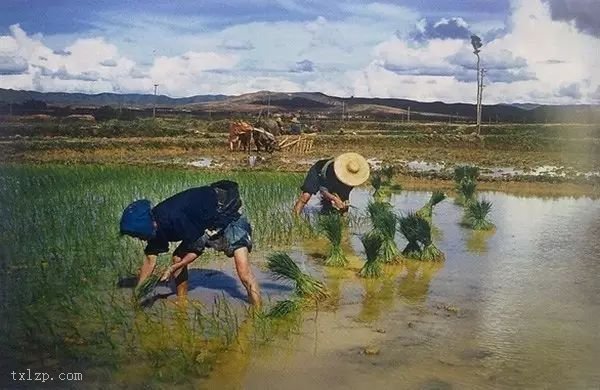 图片[11]-Color photos of Kunming taken by American Flying Tigers in 1944-China Archive