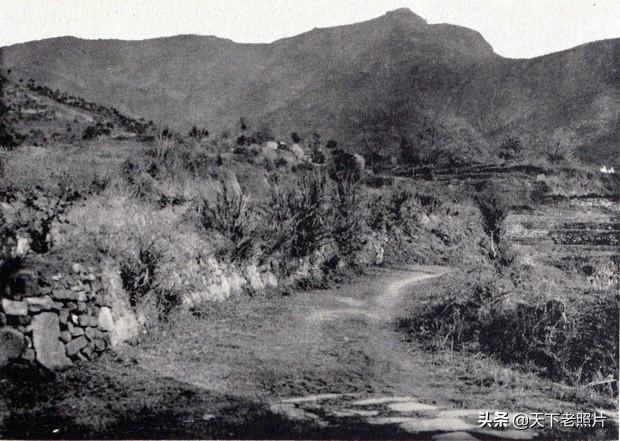 图片[3]-The old photos of Huangmei in Hubei in the 1920s, the Sizu Temple, the Wuzu Temple and the Gaota Temple 100 years ago-China Archive