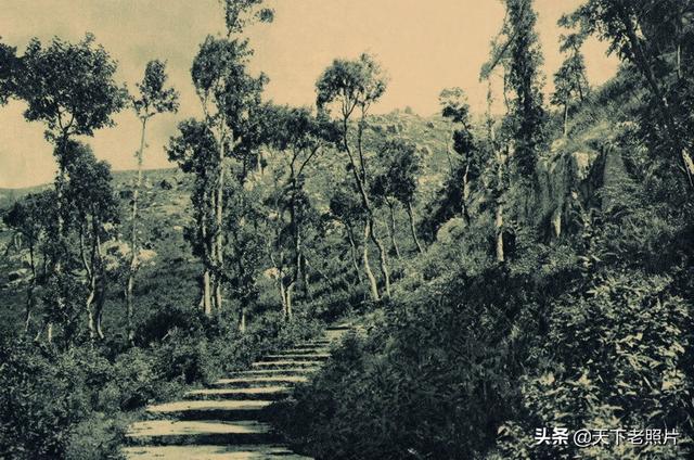 1929年的海天佛国普陀山 主山佛顶山的美丽风光旧影像