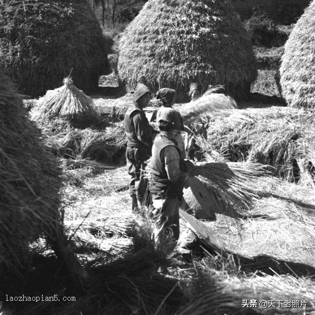 1930年代昆明老照片 圆通寺、壁鸡坊、金马坊、昆明西山