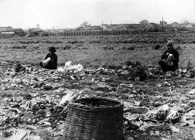 满洲国时期抚顺老照片100幅，全方位还原80年前抚顺风貌