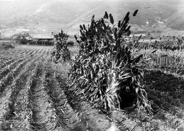 满洲国时期抚顺老照片100幅，全方位还原80年前抚顺风貌